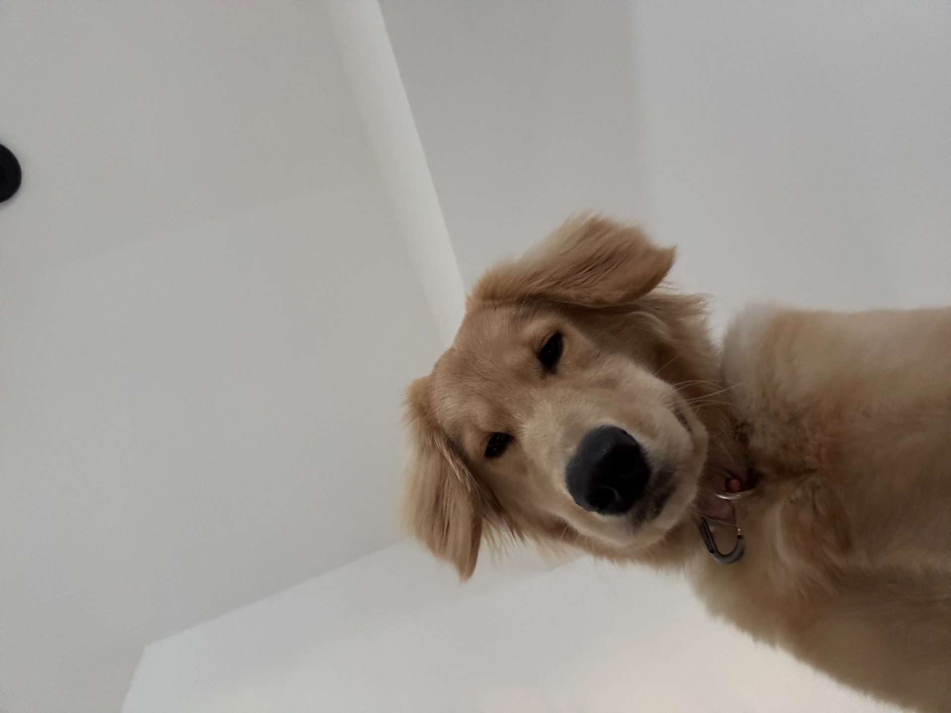 本当の愛情とはなんなのか