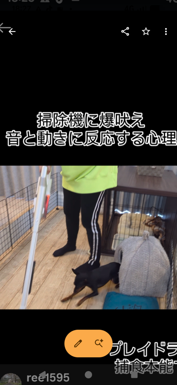 プレイドライブ（可児市にて♬）