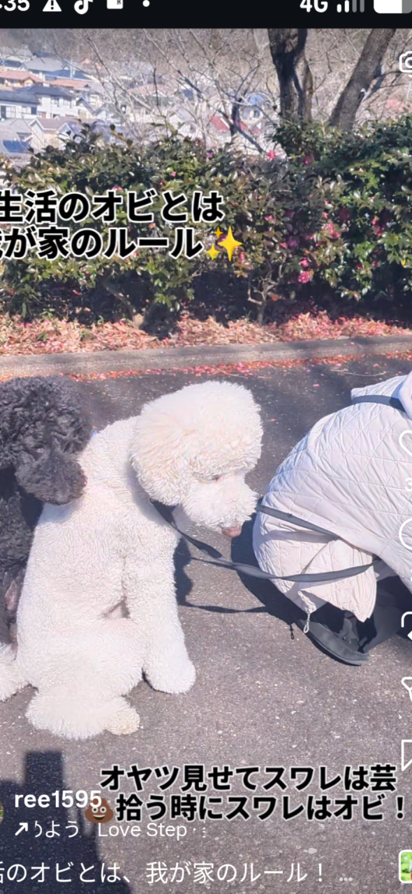 我が家のルール☺️（可児市にて♬）