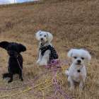 遊べる事が社交性じゃない☺️(美濃加茂市にて♬)