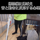 プレイドライブ(可児市にて♬)