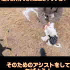 他犬へのキャパ（美濃加茂市にて♬）